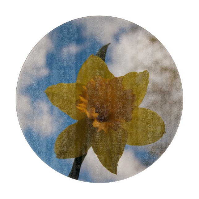 Daffodin im Frühjahr Schneidebrett (Vorderseite)