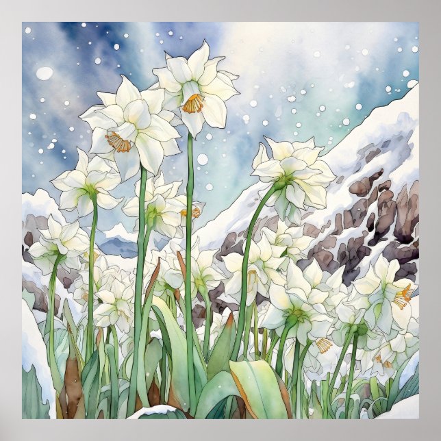 Daffodin unter der Schneemauer Kunst, Blumenplatz Poster (Vorne)