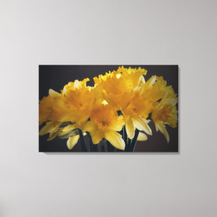 Daffodis Blume Leinwand Fotografie