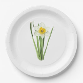 Daffodische Blume Botanische Kunst Pappteller