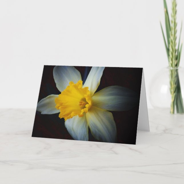 Daffodische Blume in der Lichtmerkkarte Karte (Vorderseite)