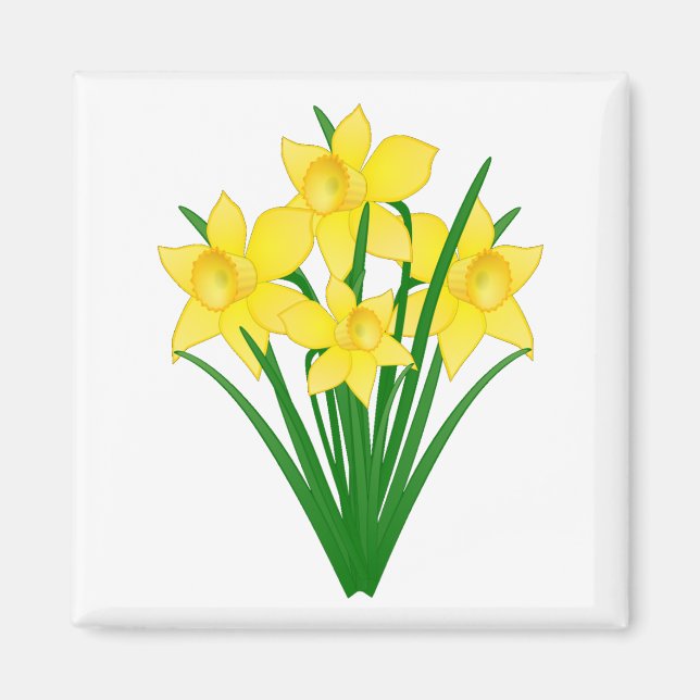 Daffodische Blume Magnet (Vorne)