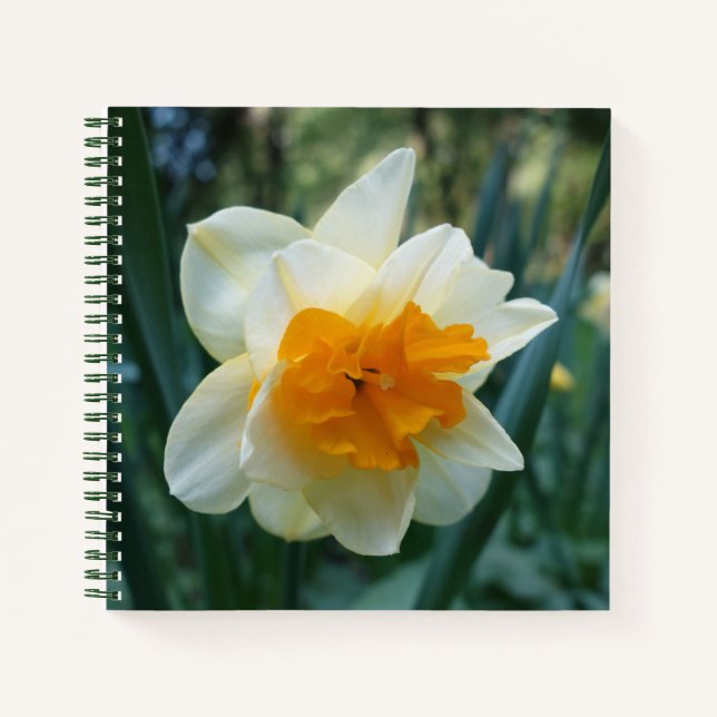 Daffodische Blume Notizbuch (Vorderseite)