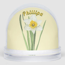 Daffodische Blume Personalisierte botanische Kunst