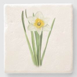 Daffodische Blume Steinuntersetzer
