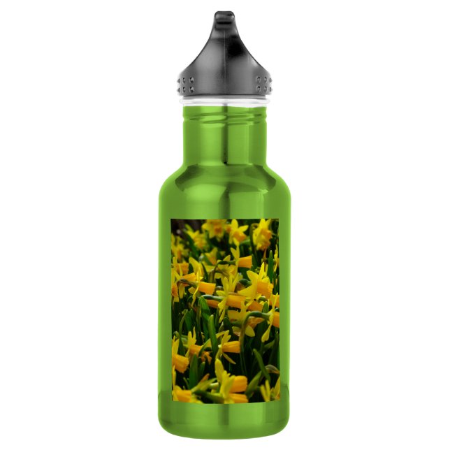 Daffodische Wasserflasche (Rechts)