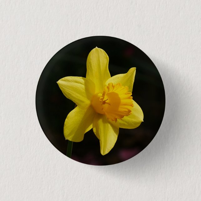 Daffodisches Abzeichen Button (Vorderseite)