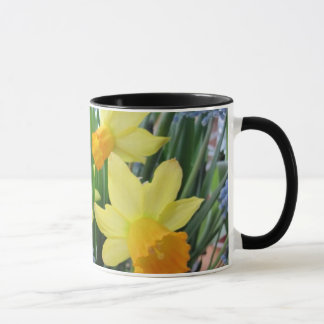 Dafodils Tasse