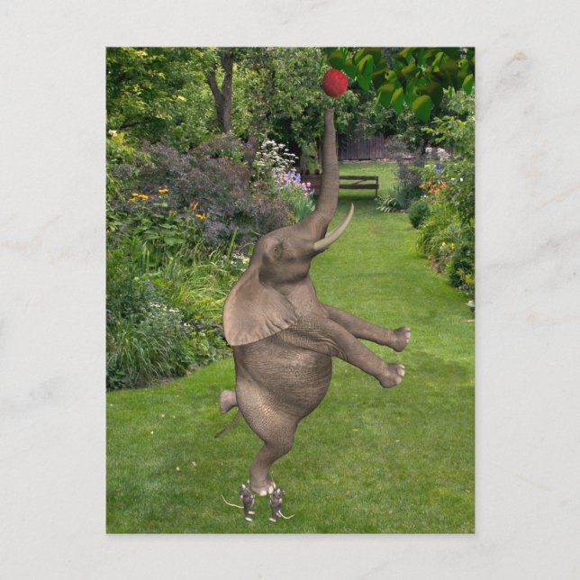 Dafür sind Freunde Postkarte (Vorderseite)