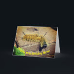 Dagger Moth Raupe Personalisiert Geburtstag Karte<br><div class="desc">Diese niedliche, kleine, gelbe Dagger-Motte-Raupe sah direkt in die Kamera, während ich sein Foto machte. Naturfotografie von Susan. Klicken Sie auf Anpassen, um den gewünschten Text zu ändern oder hinzuzufügen, sowie Schriftart, Farbe und Stil zu ändern. Dieses Design ist auf vielen Produkten in meiner Galerie erhältlich. Besuchen Sie Smilin 'Eyes...</div>