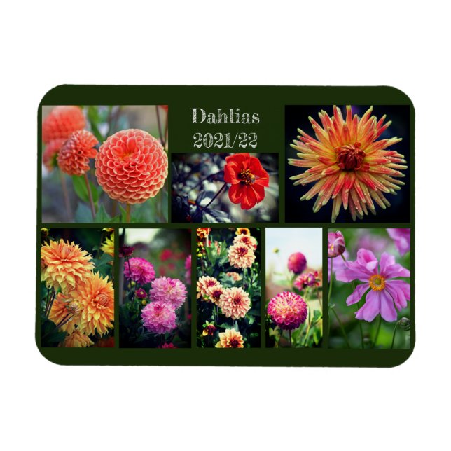 Dahlia Blume Aight Foto Personal Collage Magnet (Horizontal)