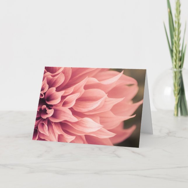 Dahlia Blume Blossom Karte (Vorderseite)