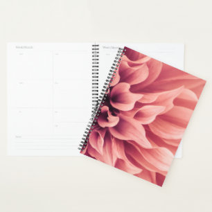 Dahlia Blume Blossom Planer