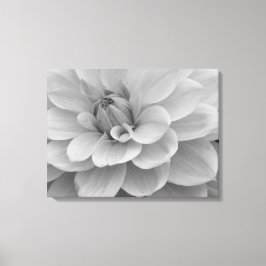 Dahlia Blume Canvas Print Leinwanddruck