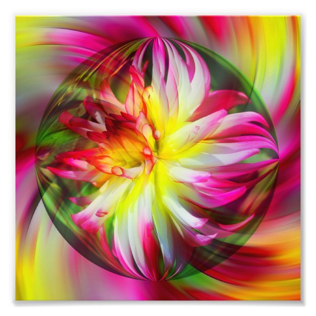 Dahlia Blume Floral Abstrakt Art 8x8 Fotodruck (Vorne)
