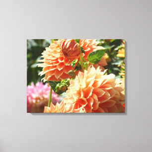 Dahlia Blume Garden Leinwanddruck