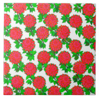 Dahlia-Blume in tiefrot