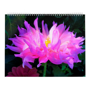Dahlia-Blume-Kalender 2023 Kalender