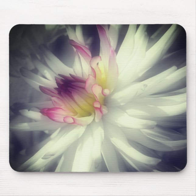 Dahlia Blume Nah Schwarz-Weiß Mousepad (Vorne)