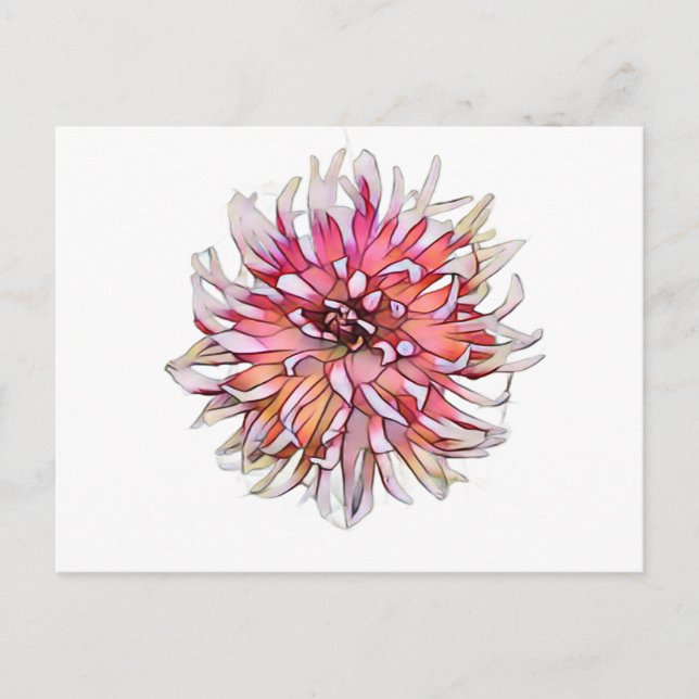 Dahlia-Blume Postkarte (Vorderseite)