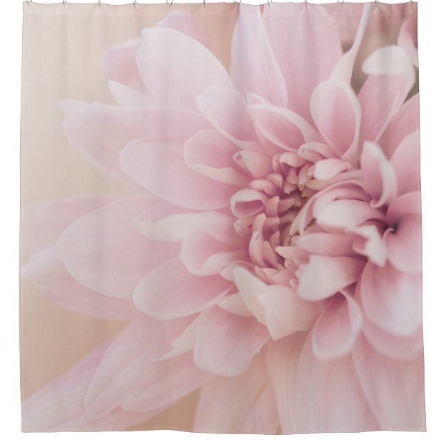 Dahlia Blume Rosa Creme und Blumen Duschvorhang (Vorderseite)