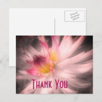 Dahlia Blume Schwarz und Weiß Danke Postcard