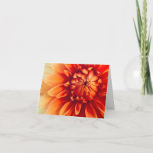 Dahlia-Blume (versteckt)