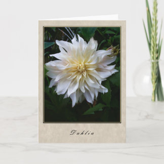 Dahlia - Blumenserie Karte
