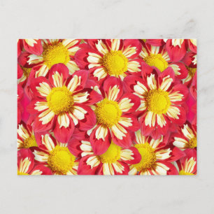 Dahlia-Bouquet - Korallen und Weiß mit gelber Farb Postkarte