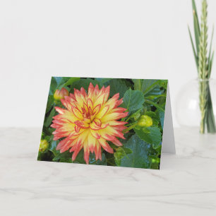 Dahlia Card Karte