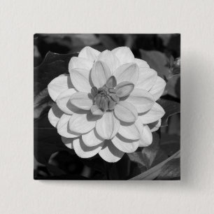 Dahlia 'David Howard' B&W Button
