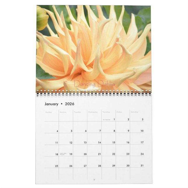 Dahlia Floral Fantasy 2014 Wall Calender Kalender (Jan 2026)