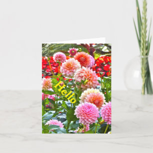 DAHLIA GARDEN/ PINK AND PEACH DAHLIAS/ "HELLO" KARTE