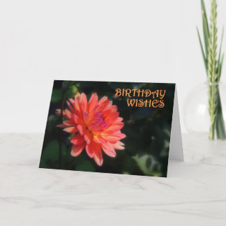 Dahlia Geburtstag 1 Karte