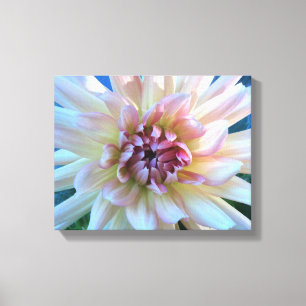 DAHLIA: Gelb und Lachs — Leinwanddruck