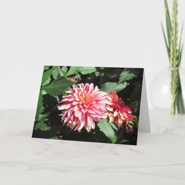 Dahlia Grußkarte Karte (Vorderseite)