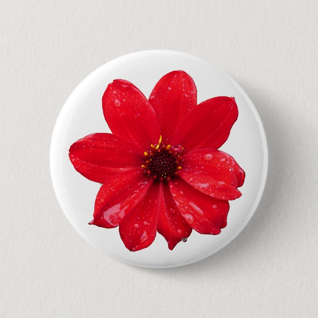 Dahlia im Regen Button (Vorderseite)