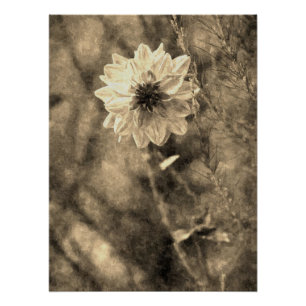 Dahlia im Vintage-Stil - Alte Foto-Malereiwirkung Poster