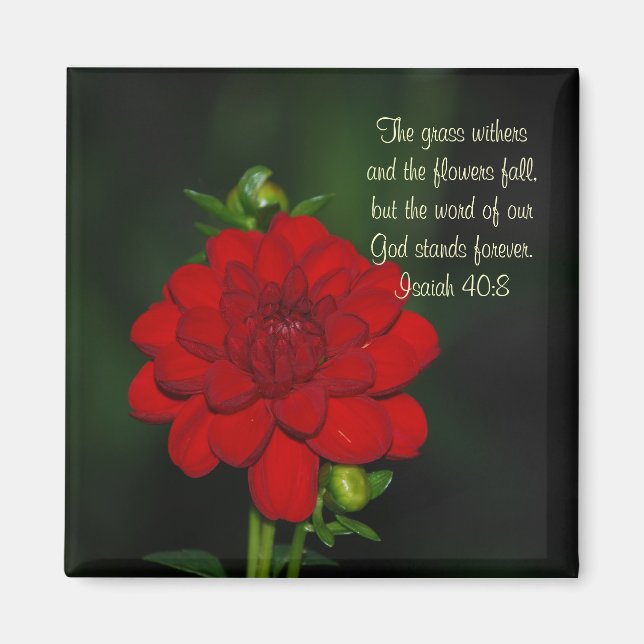 Dahlia Isaiah 40:8 Magnet (Vorne)