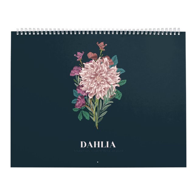 DAHLIA KALENDER (Titelbild)