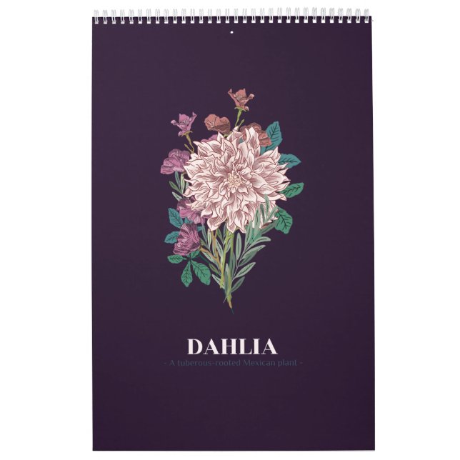 DAHLIA KALENDER (Titelbild)