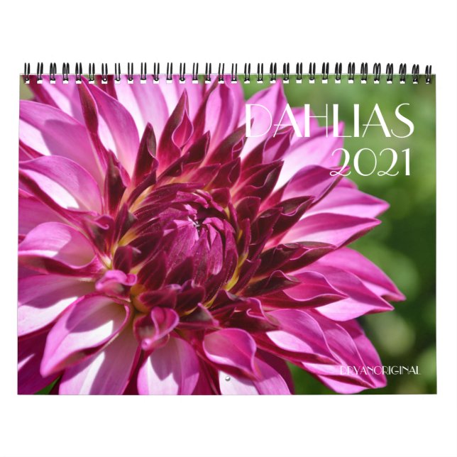 DAHLIA-Kalender 2021 Kalender (Titelbild)