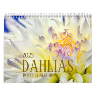 Dahlia-Kalender 2025 Kalender