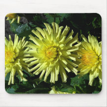 Dahlia Lakeview Glow #1 Mouse Pad