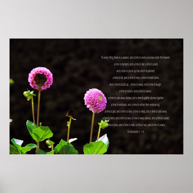 Dahlia mit Ecclesiastes Verses Poster (Vorne)