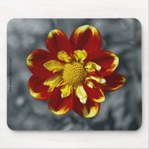 Dahlia Mousepad