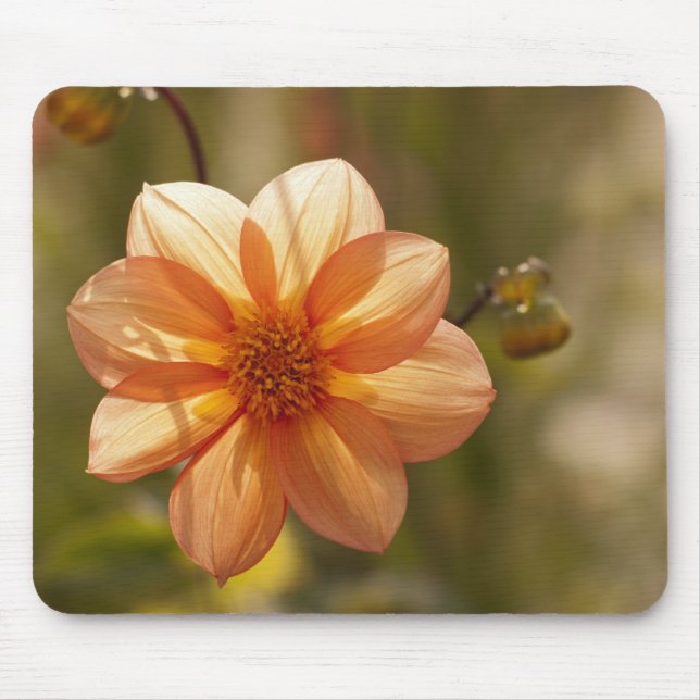 Dahlia Mousepad (Vorne)