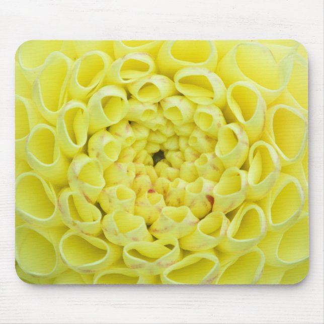 Dahlia Mousepad (Vorne)