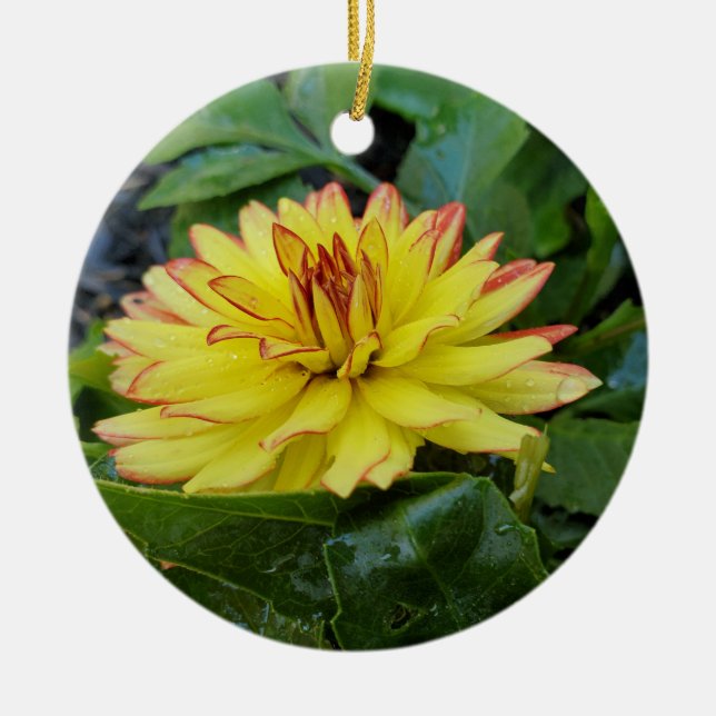 Dahlia-Ornament Keramik Ornament (Vorne)