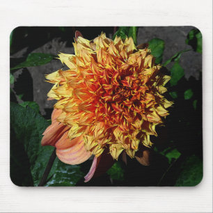 Dahlia Sandia Brocade #1 Mouse Pad Mousepad
